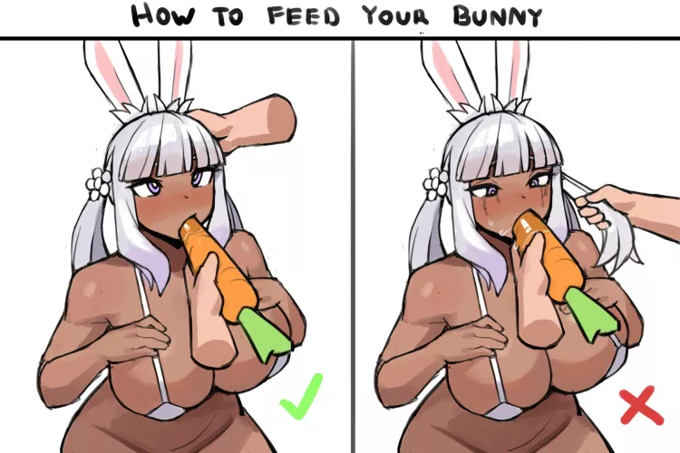 How to feed your bunny (Donburikazoku) by x-LeananSidhe-x
