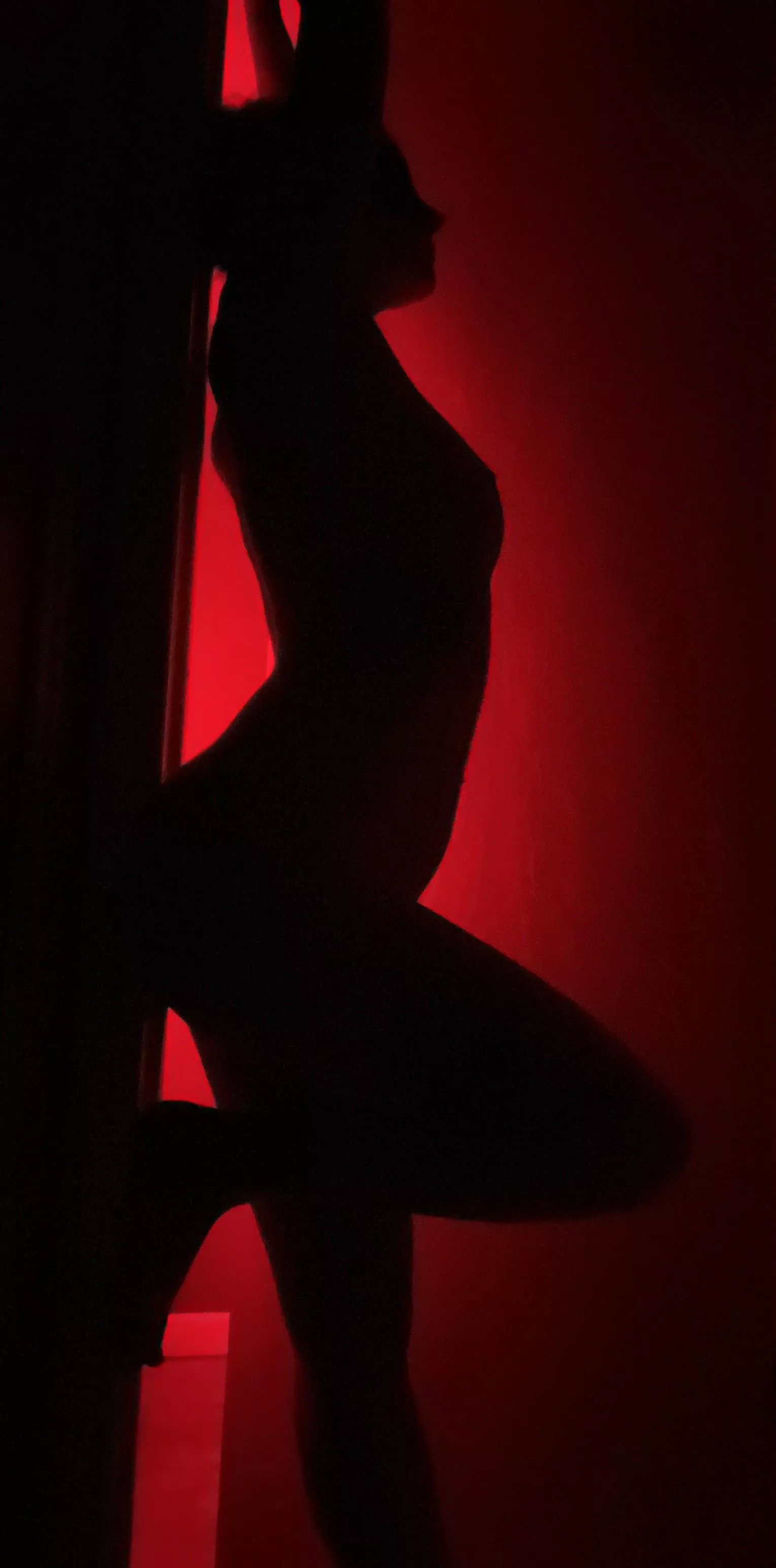 Spot light posted by AmBam10