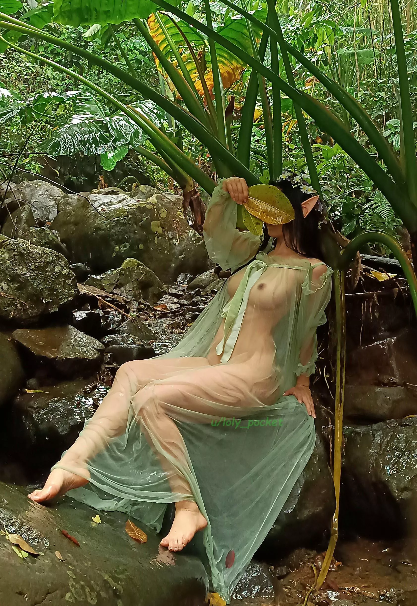 An Elf's Quest for the Water's Blessing [F] posted by loly_pocket