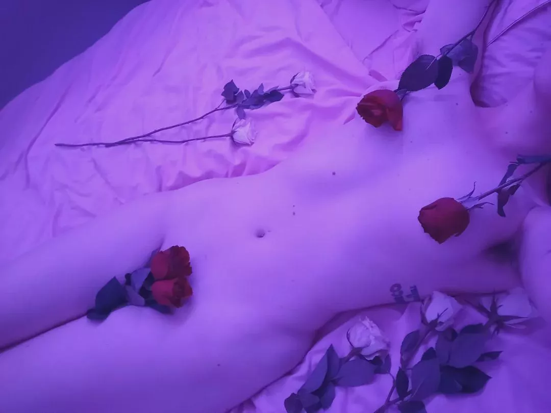 Buds in Bloom ~ posted by DonnaMaeTrichs