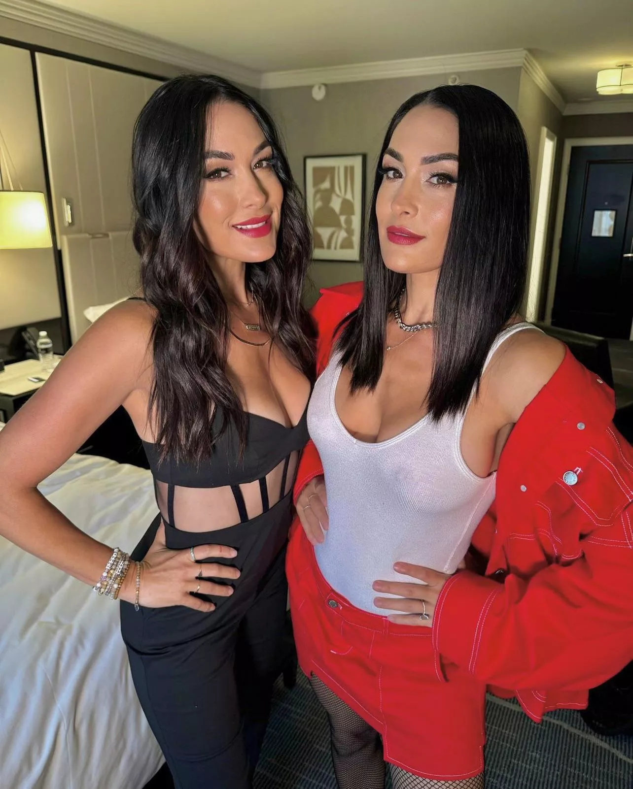 Nikki Bella posted by Earthling275