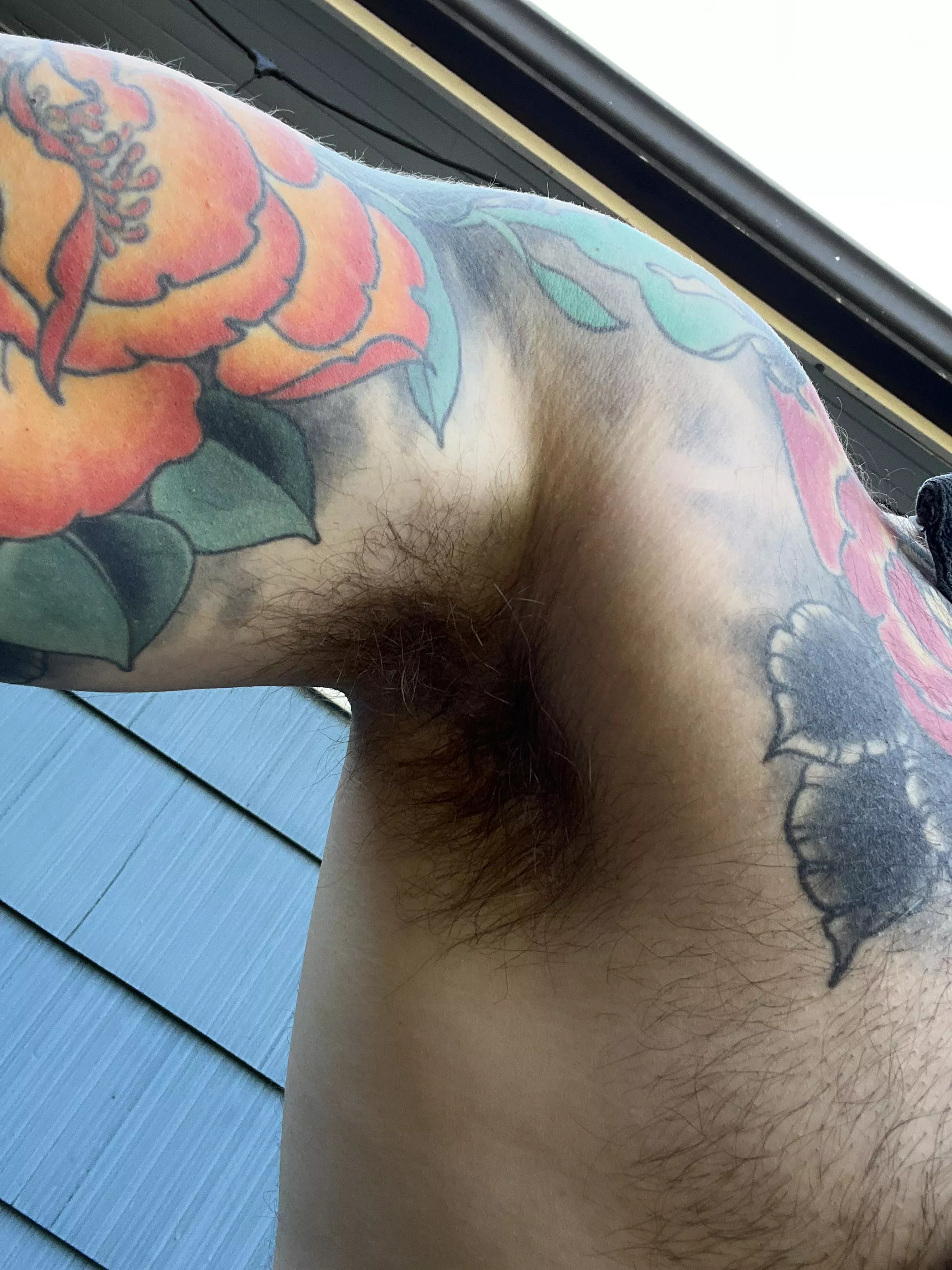 Sticky Friday afternoon posted by Sea_Bee_5732