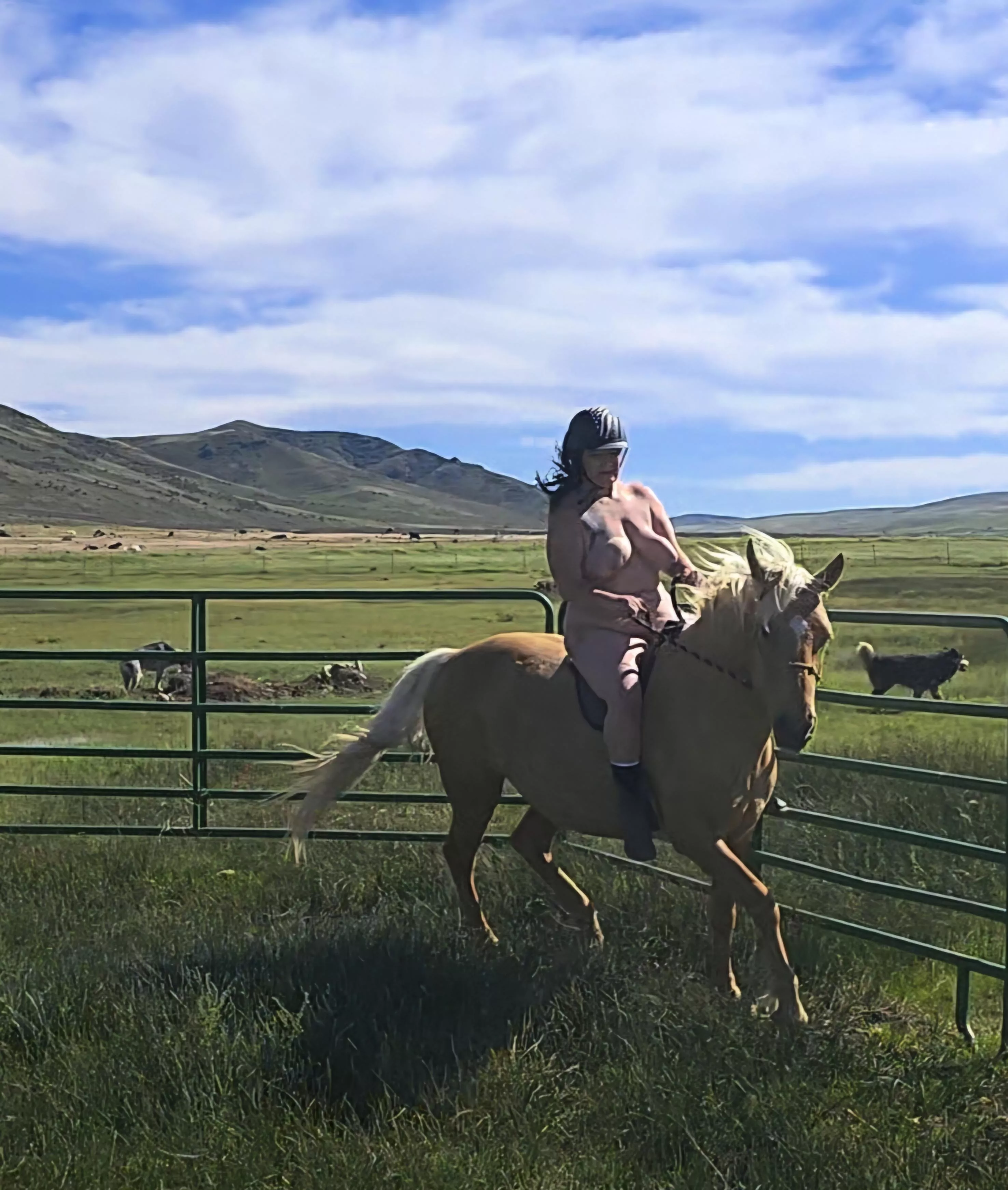 True freedom posted by Mundane-Value-7383