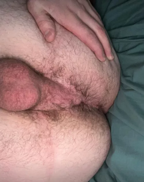 Who’s face can I sit on  by Consistent-Smoke-711