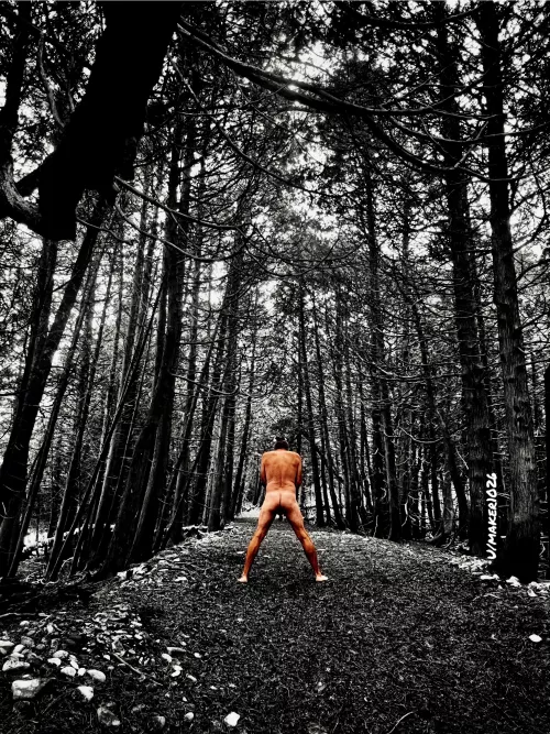 A little color in the woods! by maker1026