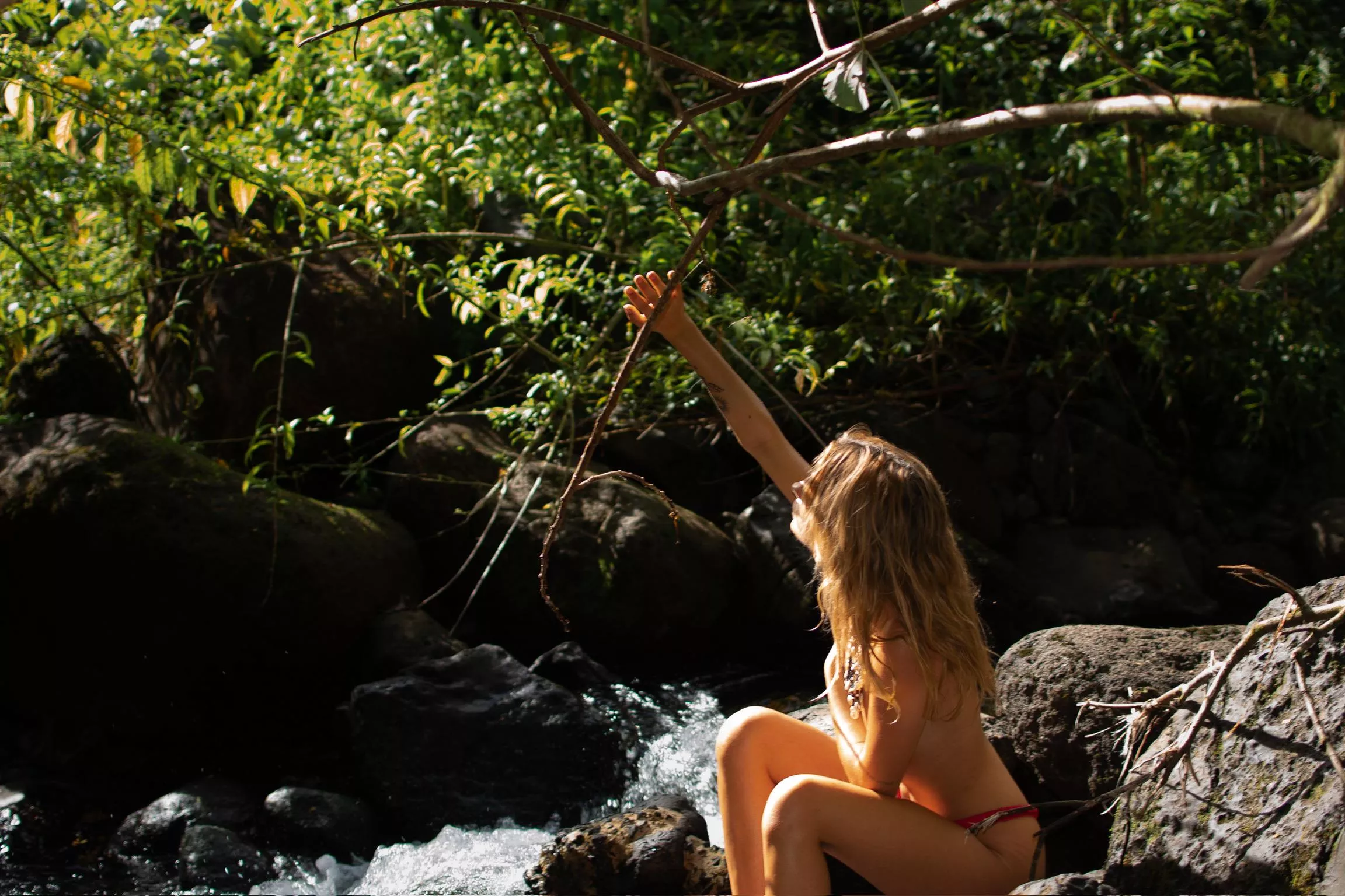 I am a sucker for nature posted by TheForgottenGirlX