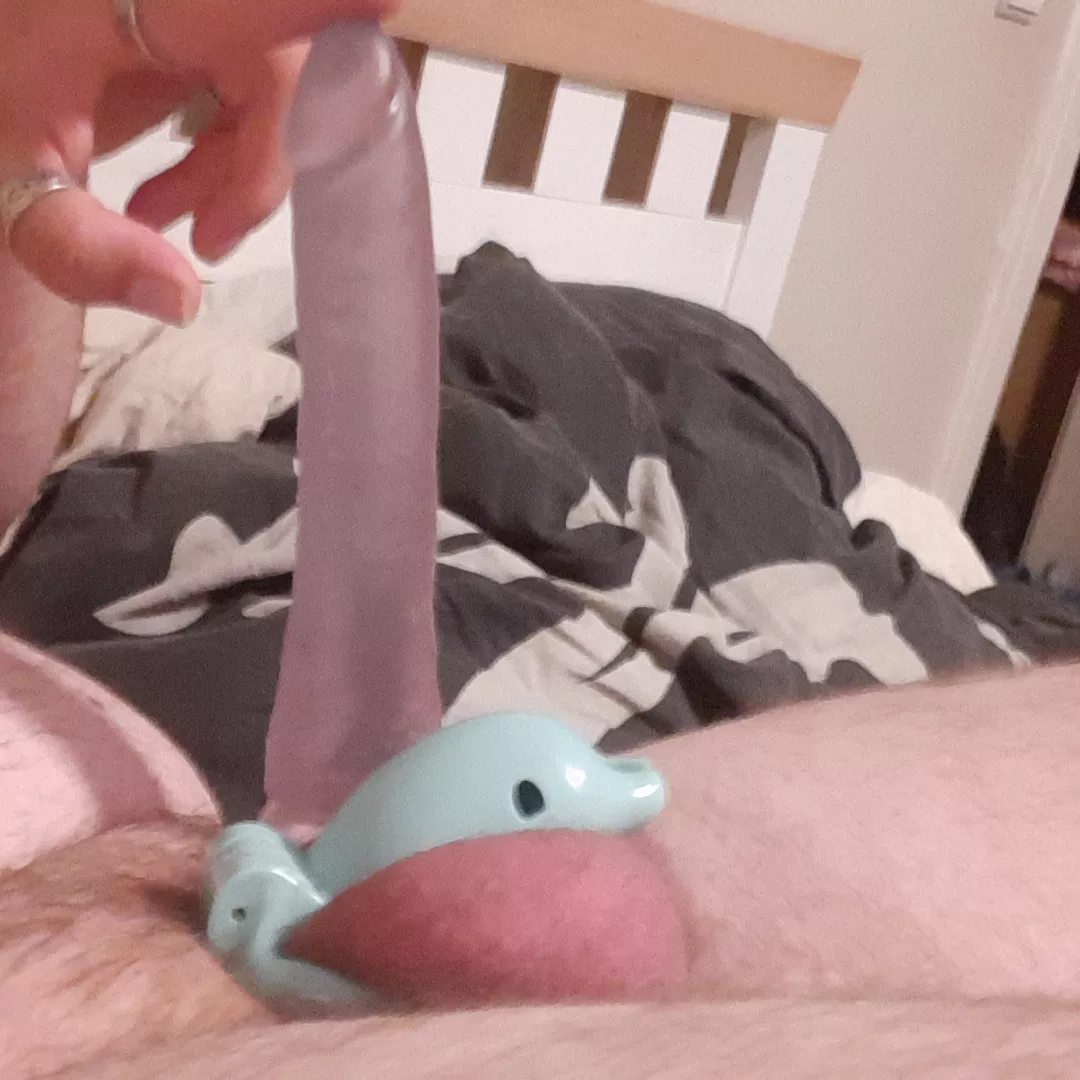 Me vs the smallest toy posted by BlaiddDrewg