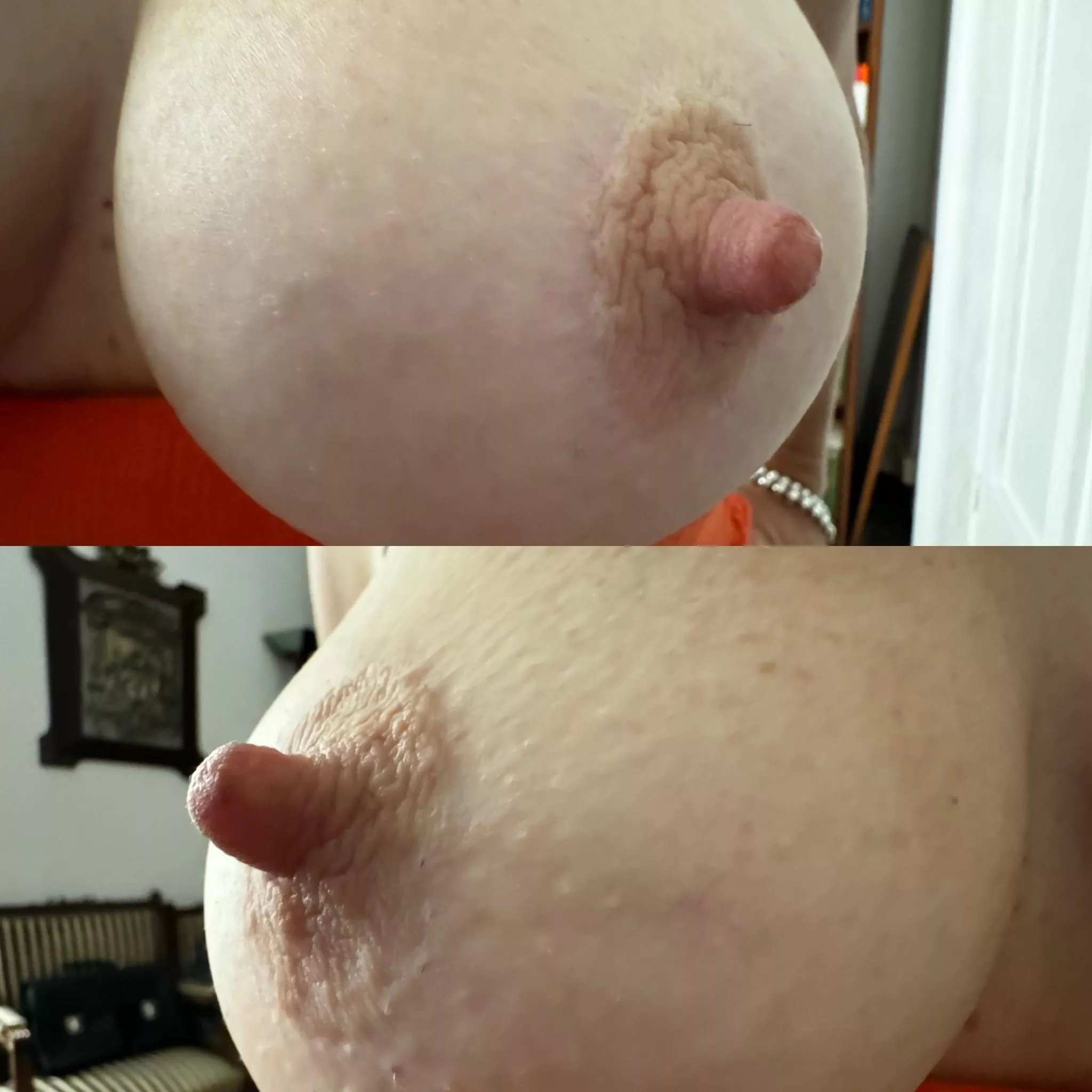 Perky and pointy, what else posted by plutop669