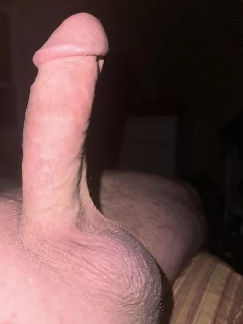 Tell me if you like my cock by hennings50