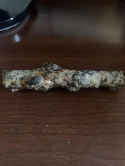 What is this thing? by UwUHushling