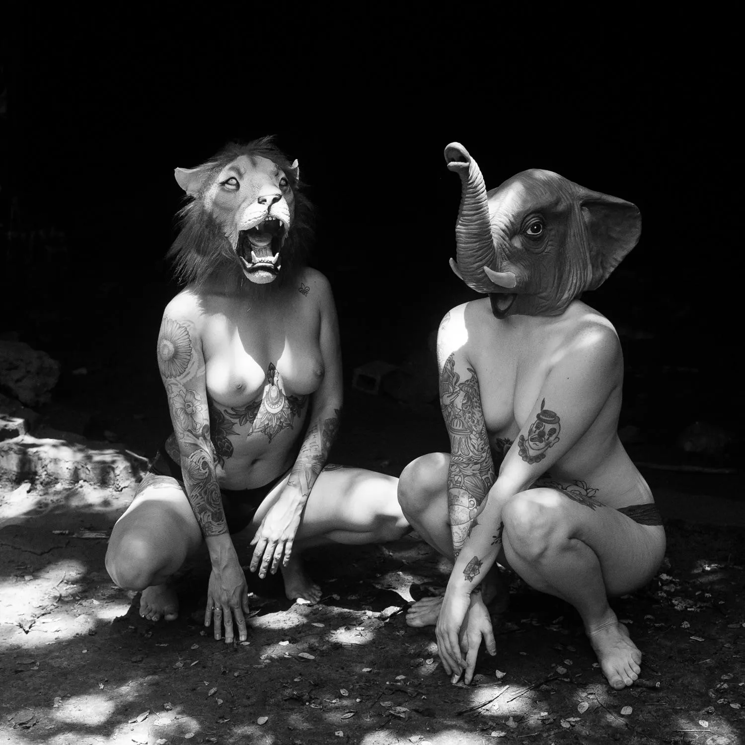 Wild Animals posted by outrun_octopus