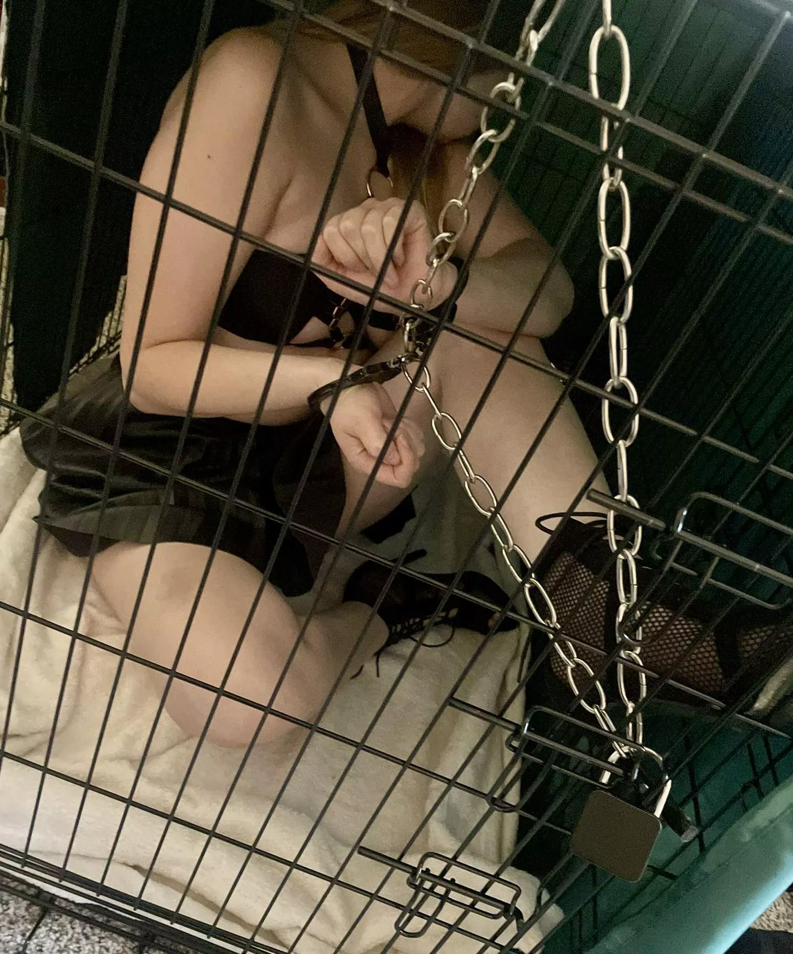 Bad girl in her cage.  posted by SophieWithTheSocks