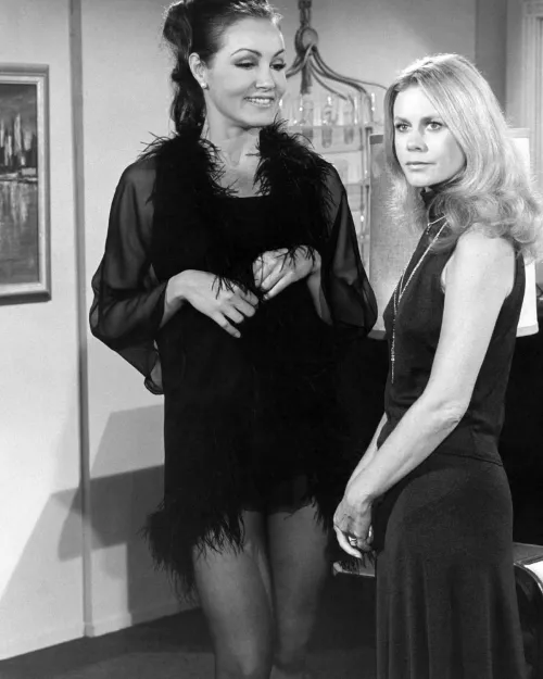 Julie Newmar and Elizabeth Montgomery (1960s) by bil_sabab