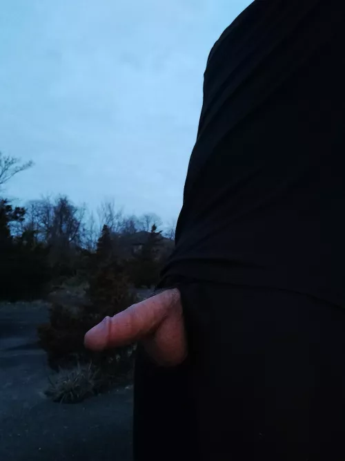 My cock comes out when the sun goes down  by hornybadger876