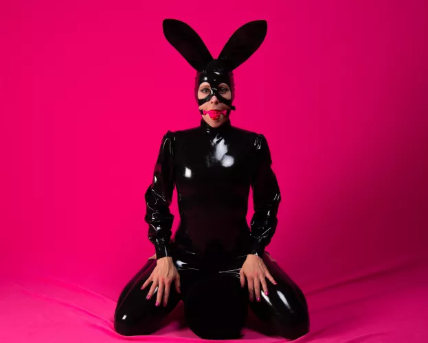 Never a bad time to gag the bunny.  by yourboundwife