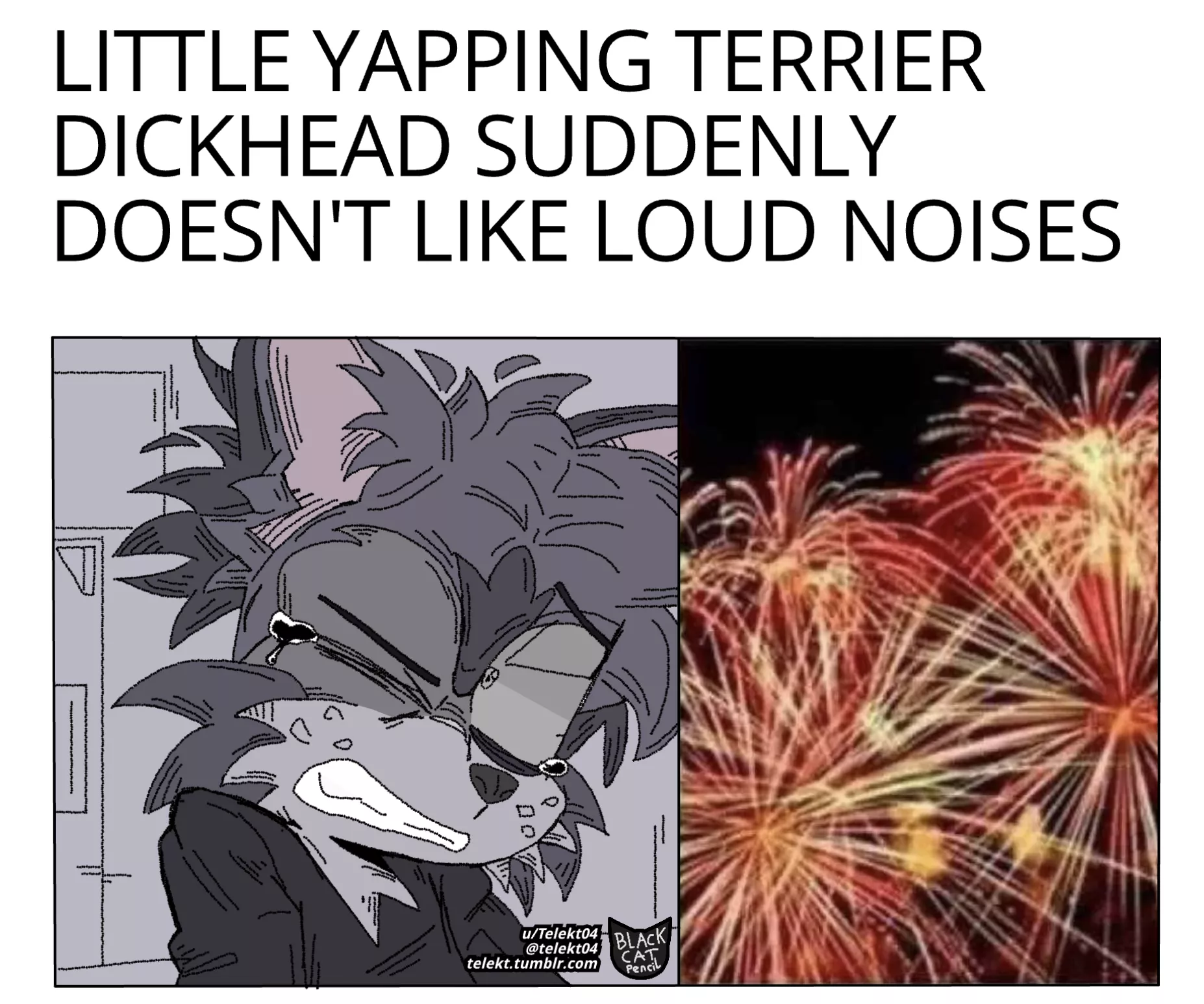 [OC] Oh, so NOW you don’t like loud noises, huh!?! posted by Telekt04