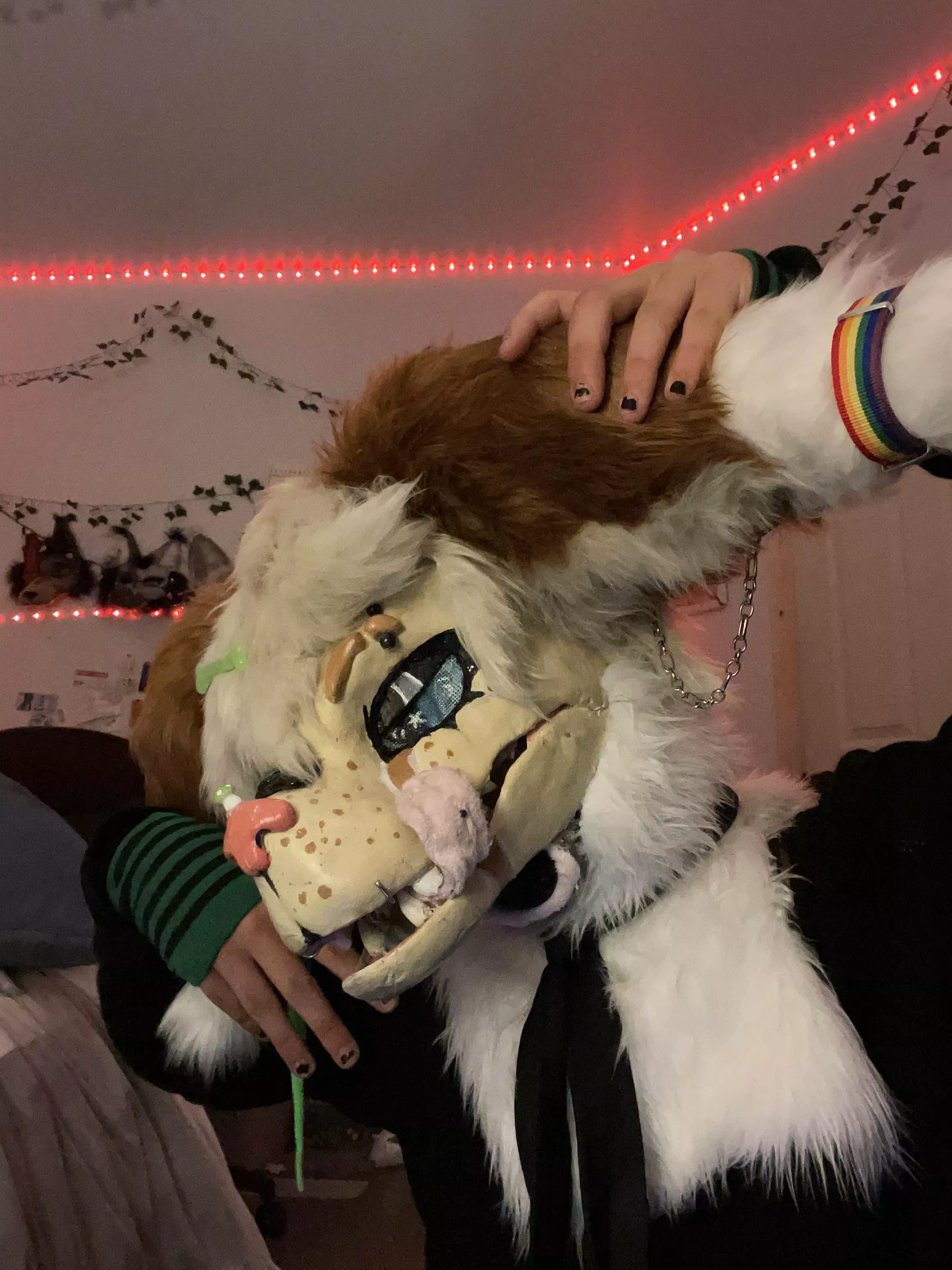 Say Hello to Blaire :3 posted by TheChillyDove577