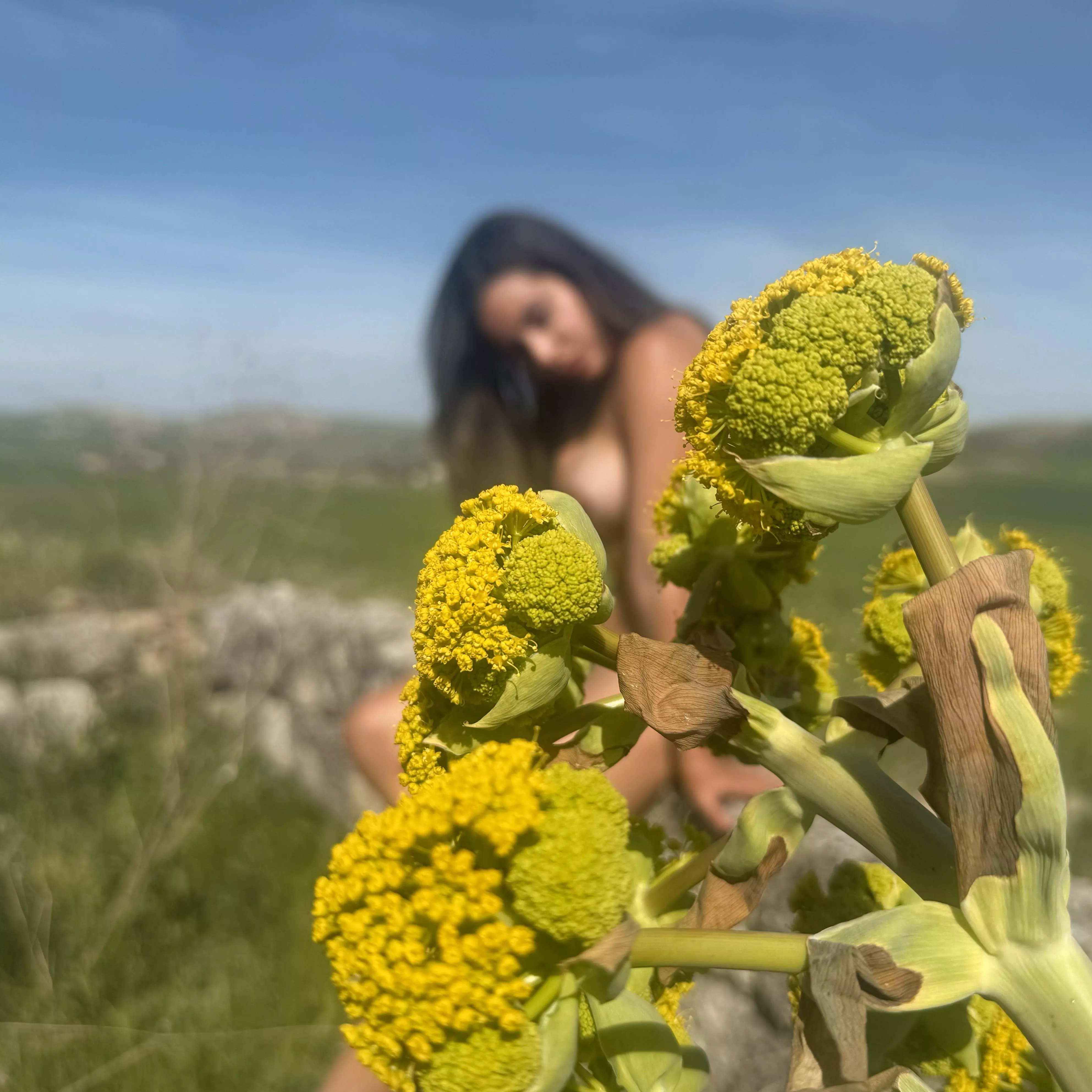 The beauty of nature surpasses all posted by AdventureJuntos