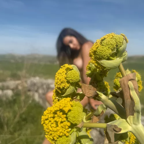 The beauty of nature surpasses all by AdventureJuntos