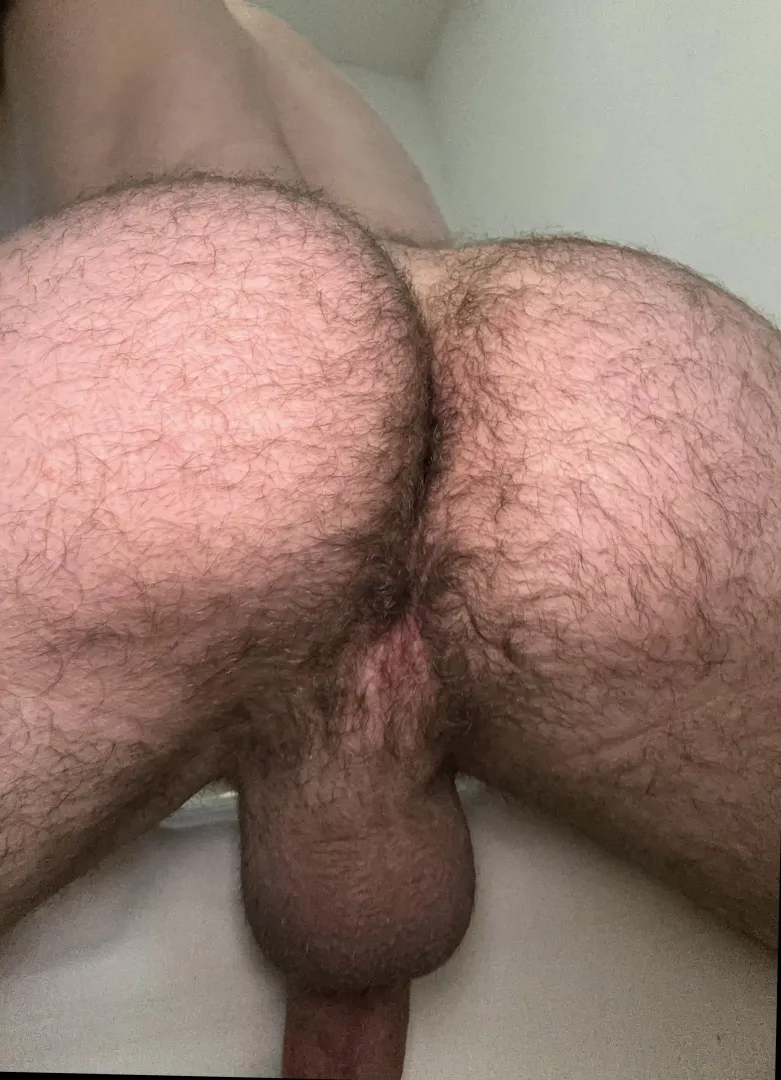 Just got back from the gym, would u rather eat or fuck my hairy ass? posted by ElsaGermaineRiley