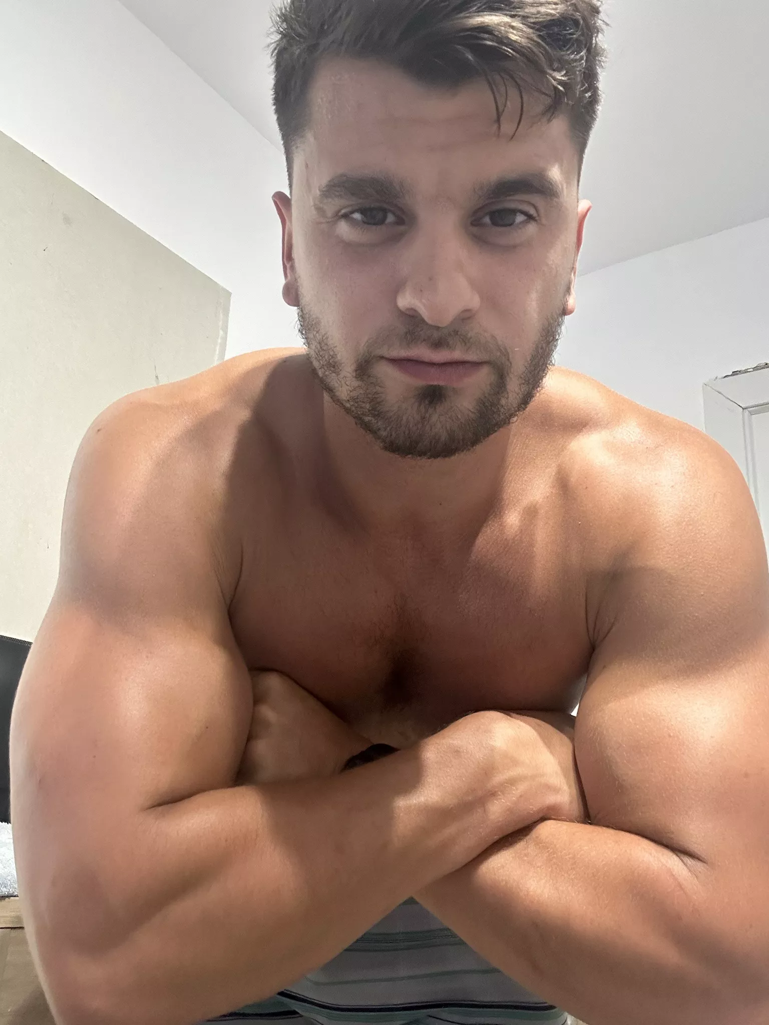 Your alpha is feeling a little lonely today, can you help me with that? posted by realisiwak