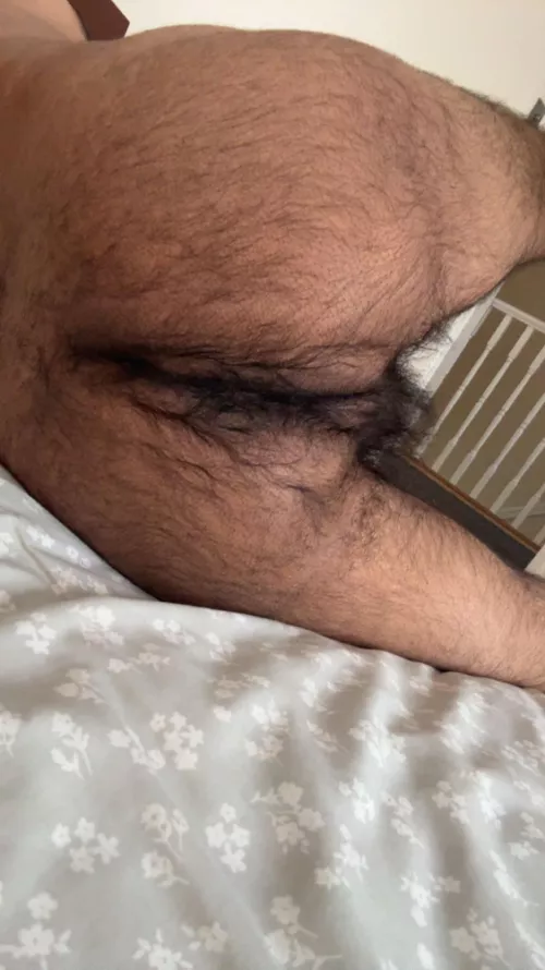 Is it hairy enough for you? (22) by Iam6_6_6