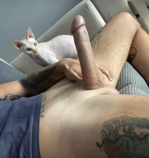 Lemme fuck your ass daily by ArtofDonJuan