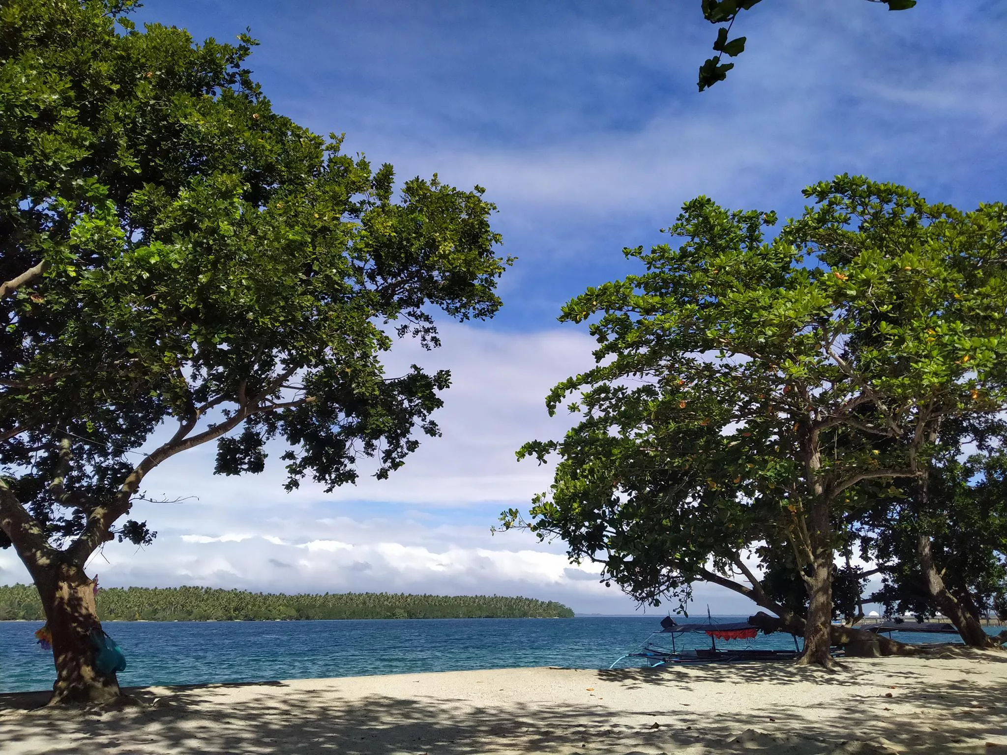 Pure bliss posted by Background_Watch_965