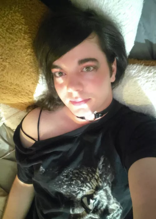 The owl is watching 👀 by entit_t_trus