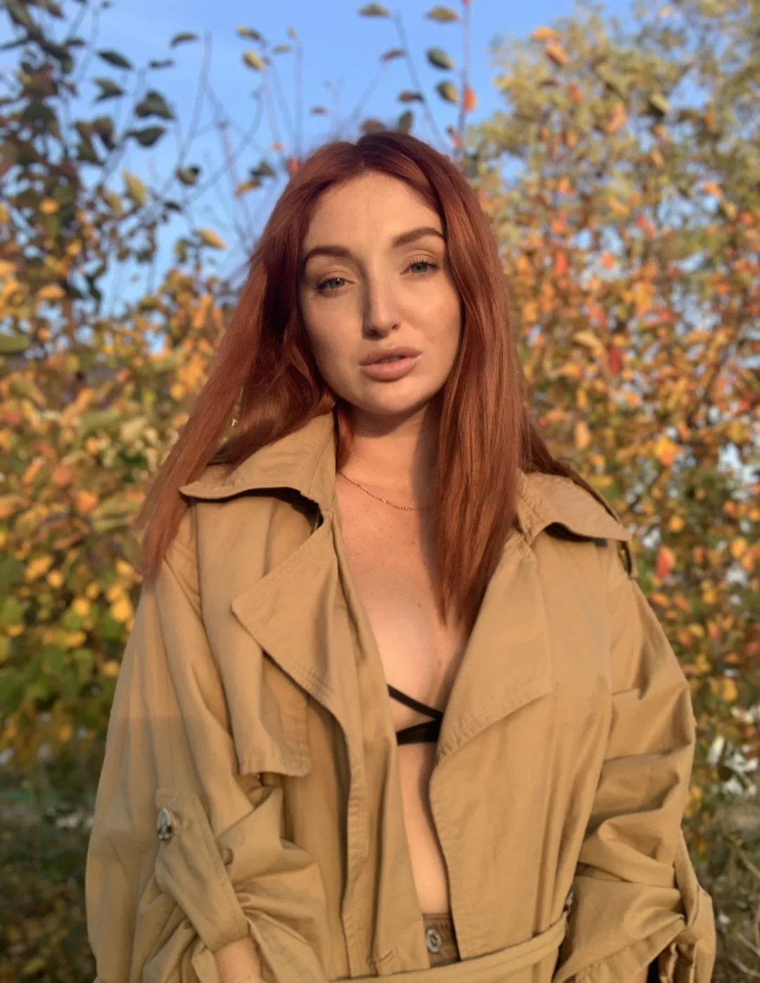 The sweet Red Fox  posted by Kratos20101