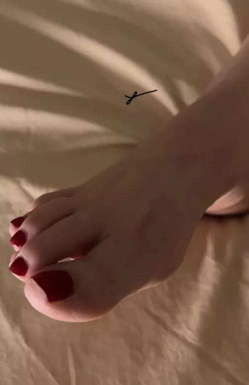 Up Close & personal🌹 by Bad_Bunny62391