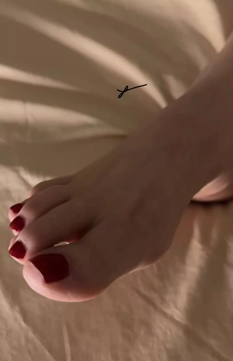 Up Close & personal🌹 posted by Bad_Bunny62391