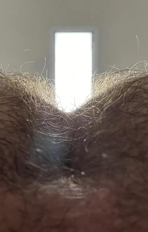 Your POV just before I sit back and get comfortable on your face 👀 by best-hole