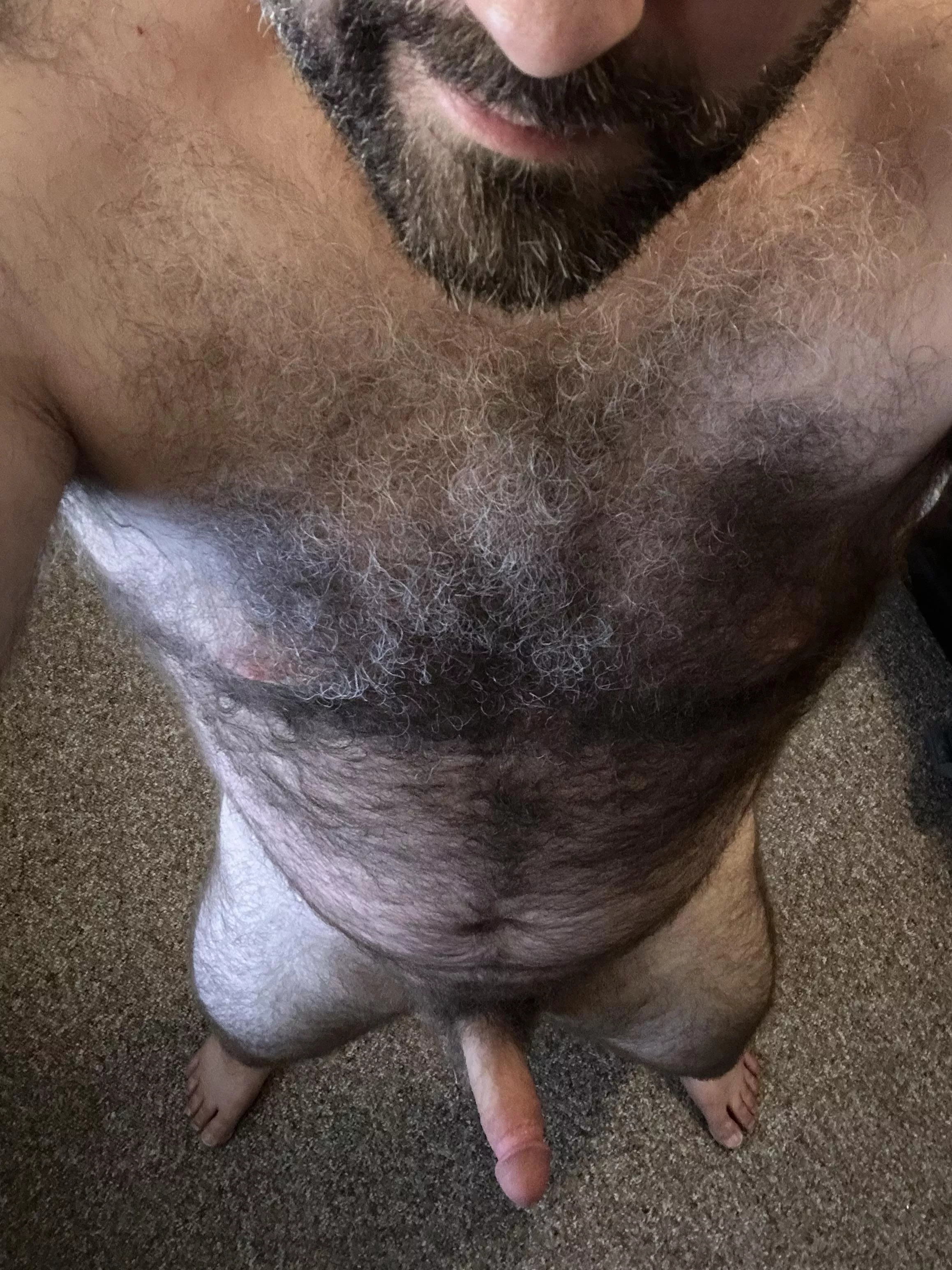 I hope you like a hairy dad bod [42] posted by TheBeholder2479