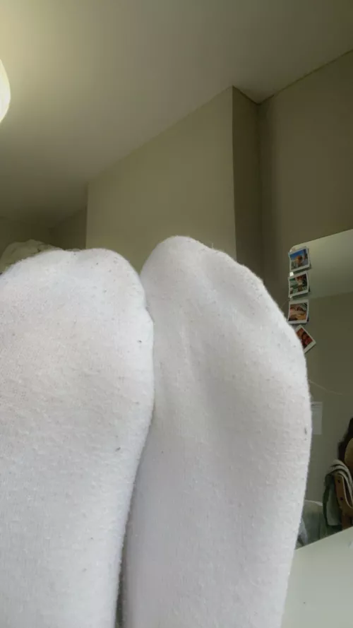 I know you love my dirty socks by BritishTransBabe