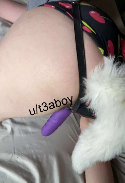 puppyboi strap game is elite  by t3aboy