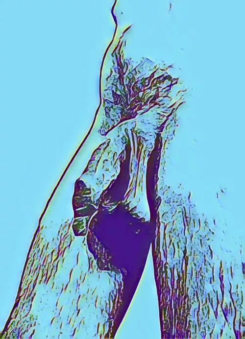 Self package portrait  by ___nakedcannon_