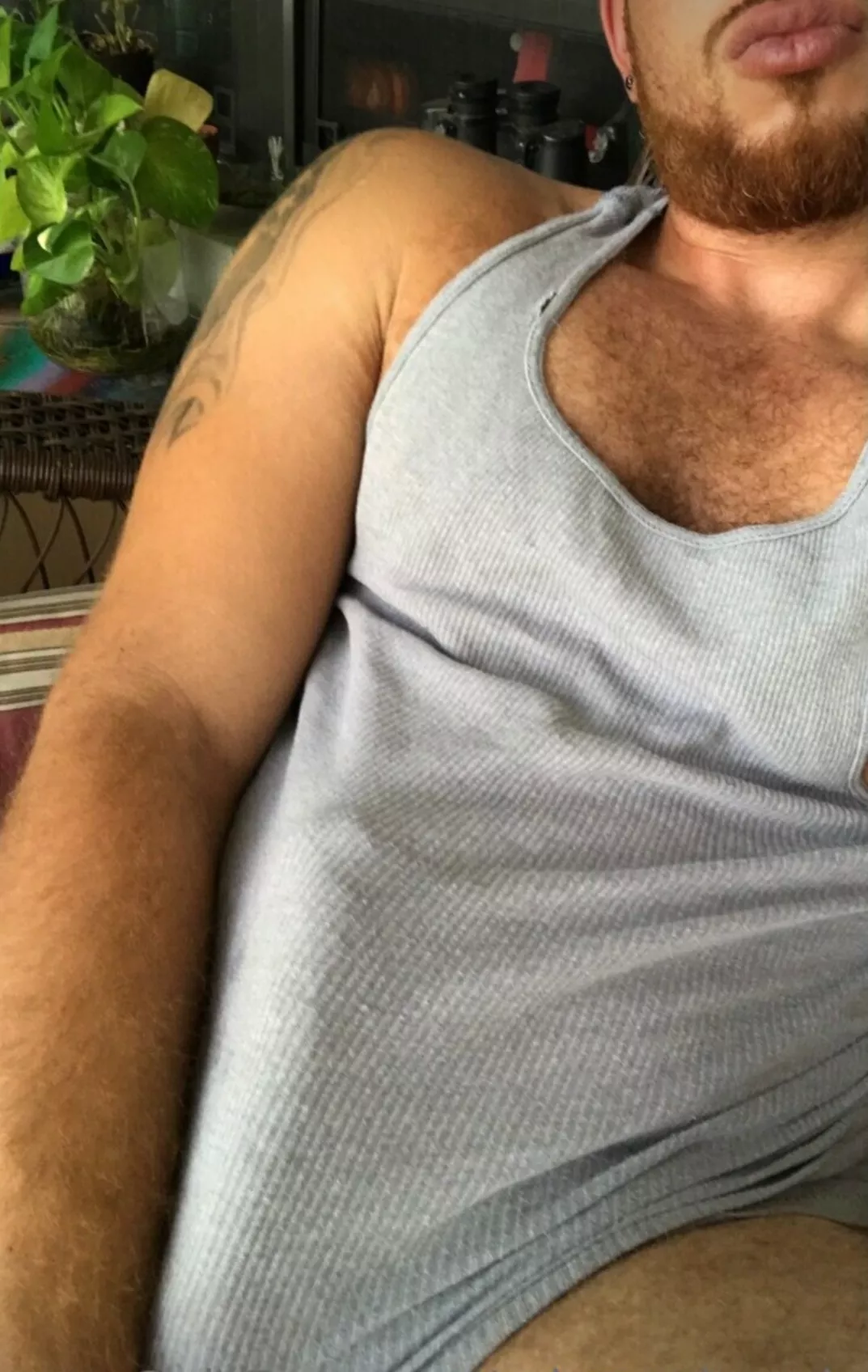 Take a peak? posted by Kitchen_Energy_9850