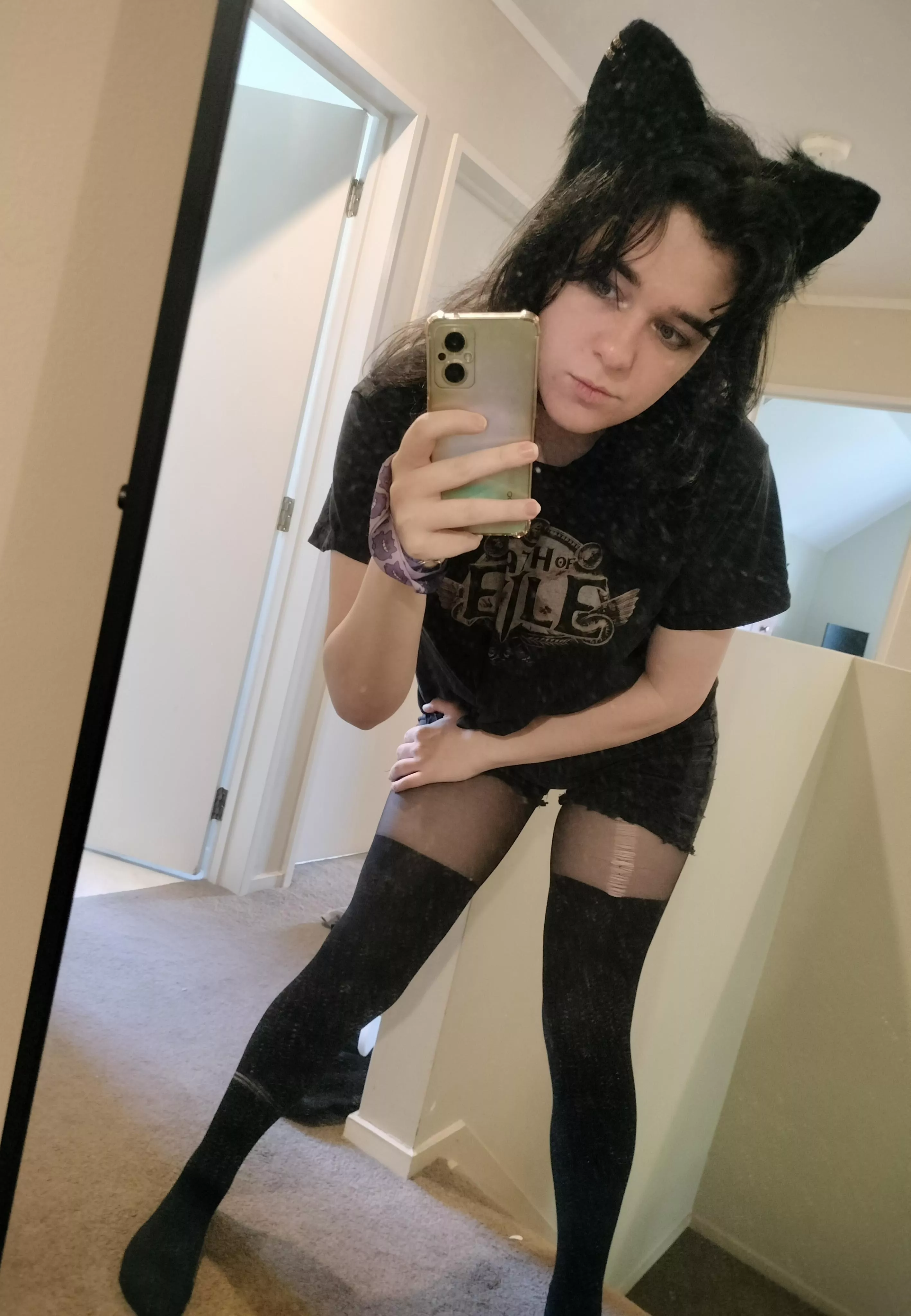 Time to get meowed at in the supermarket :3 posted by Scyitsi