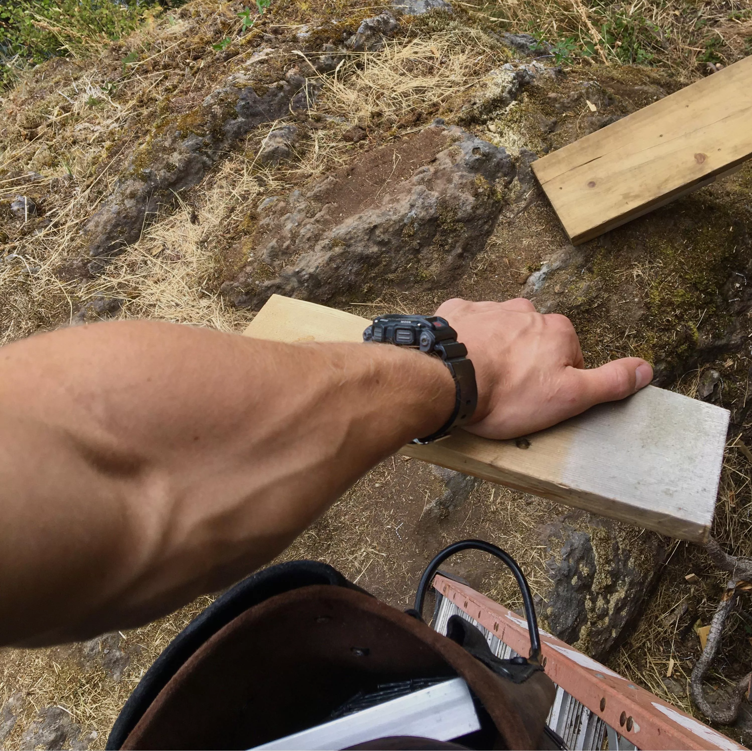 Carpenters Forearm posted by throwawayjondavis