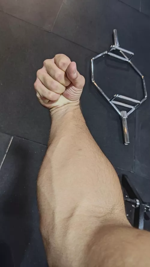 Does this fit by InterWxrld