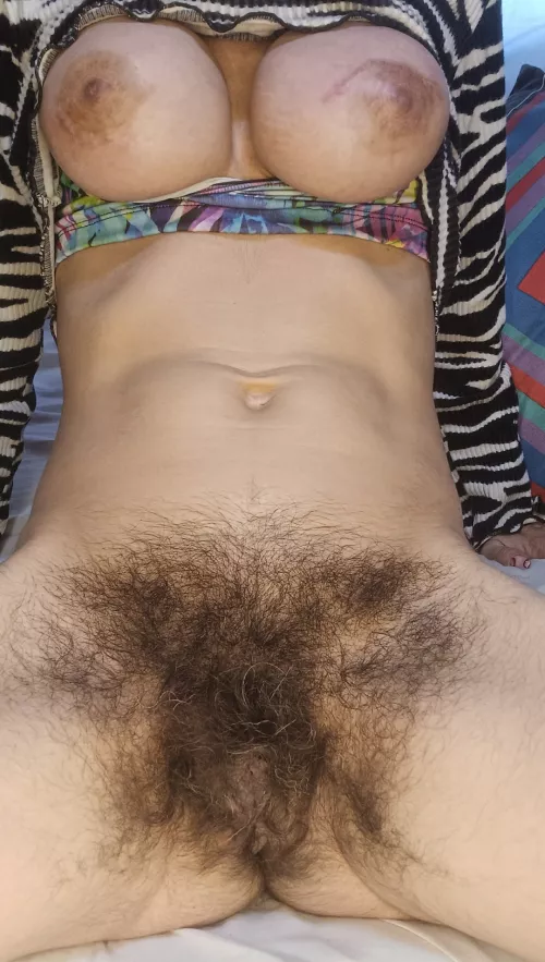 my multicoloured hairy pussy  by Vero_hairy6096