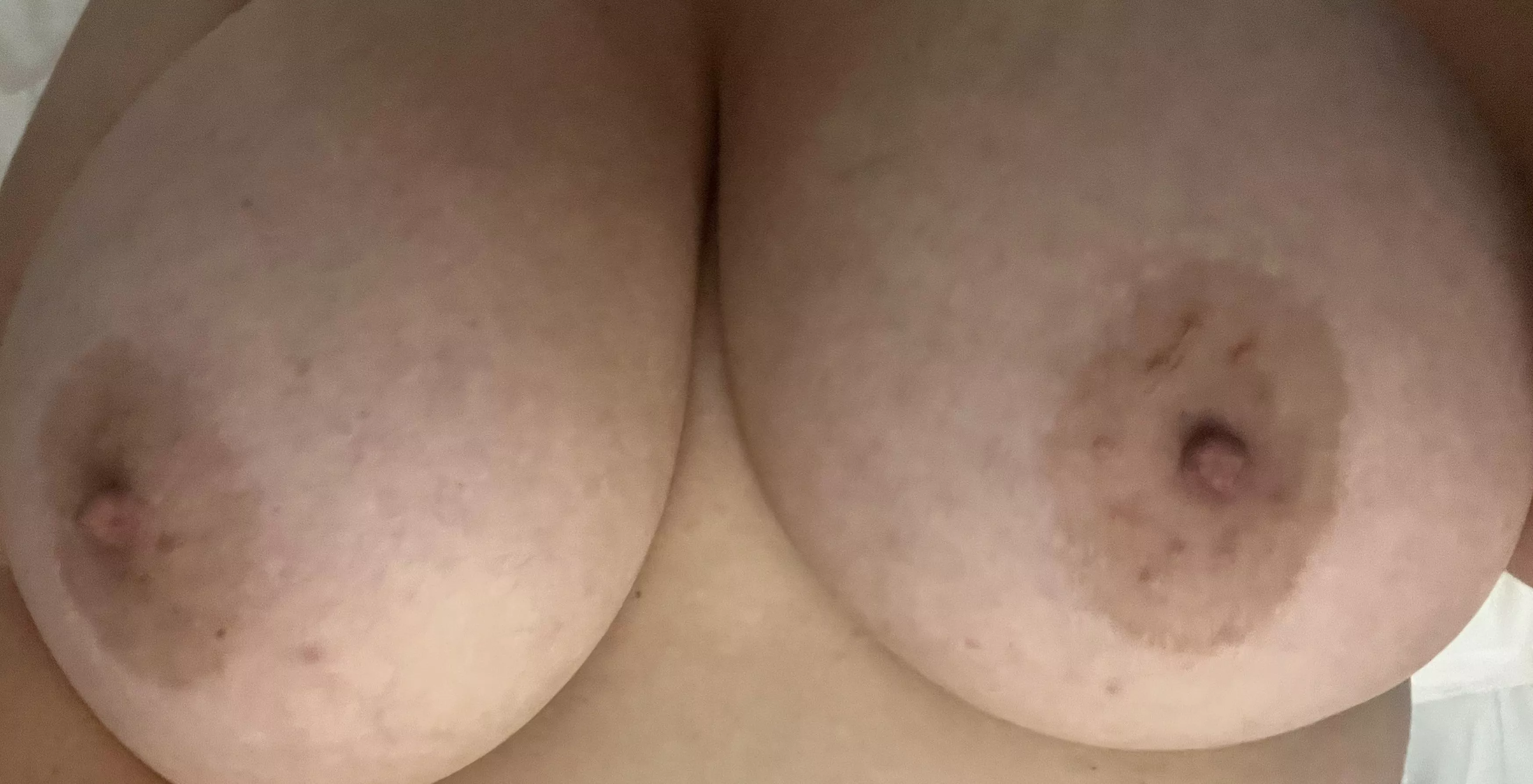 These ladies have enjoyed the sun lately. What about you? posted by drtittes