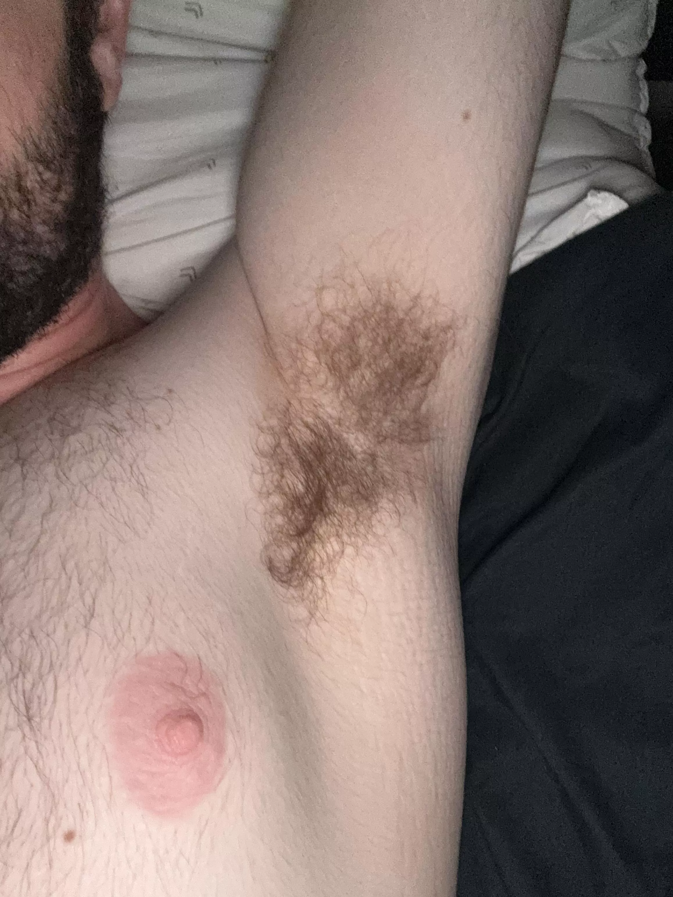 [22] Late night pits. Give ‘em a sniff while we cuddle, bro? posted by g1mmesomewood