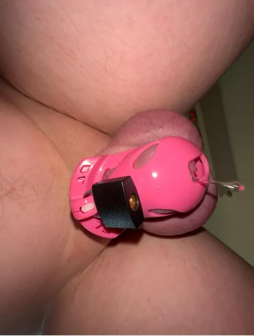 First day in chastity 😭 by Blacksmith_Extension