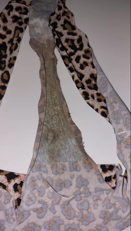 Give me 3 reasons to have it licked posted by Lazy-Calligrapher794