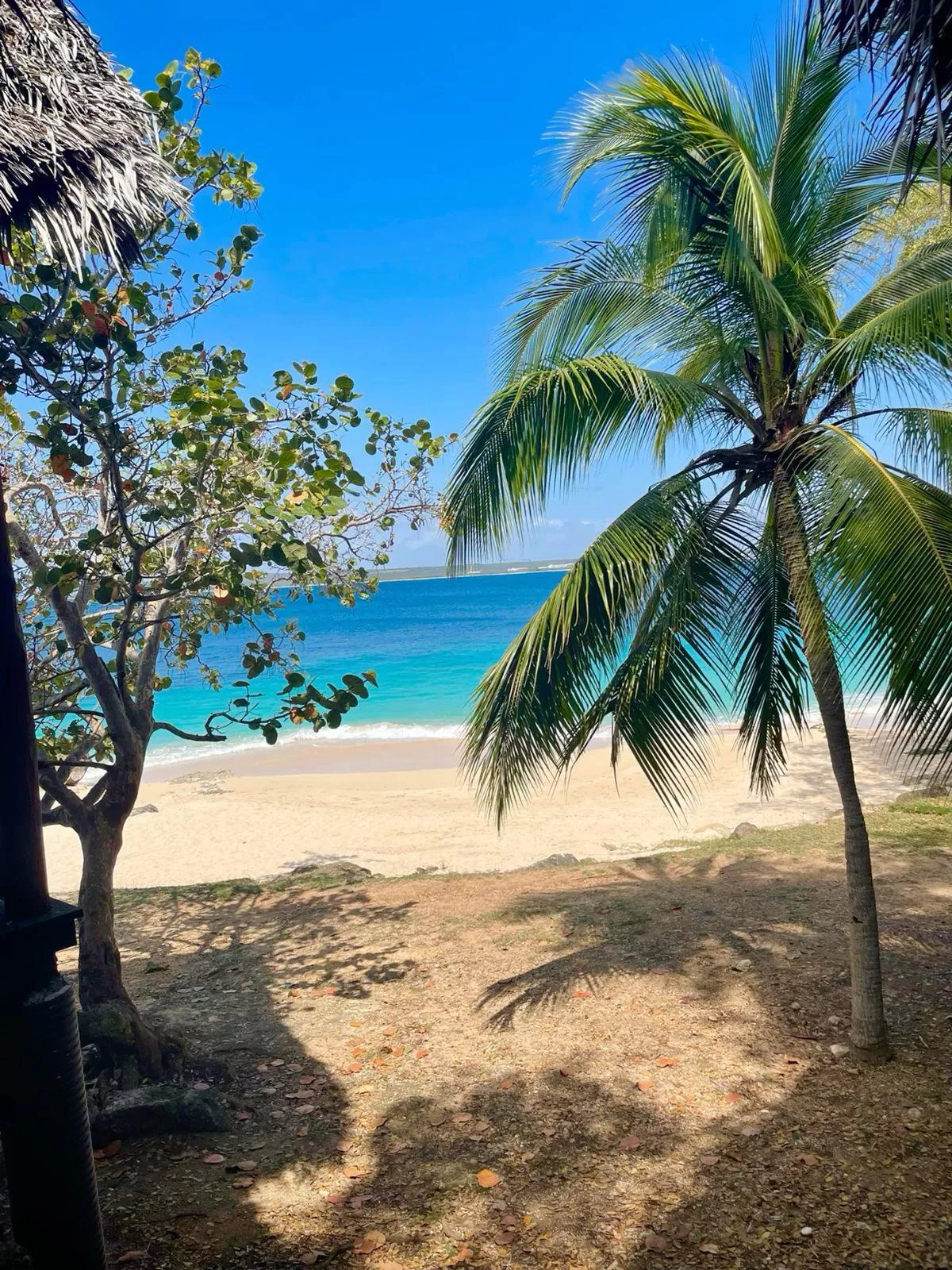 Paradise, Cuba 🏝️ posted by petter_xxx