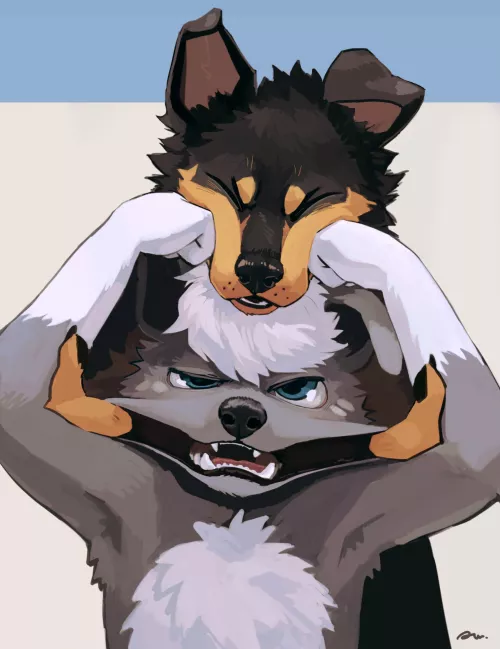 Playful Fighting [awwchang] by DL2828