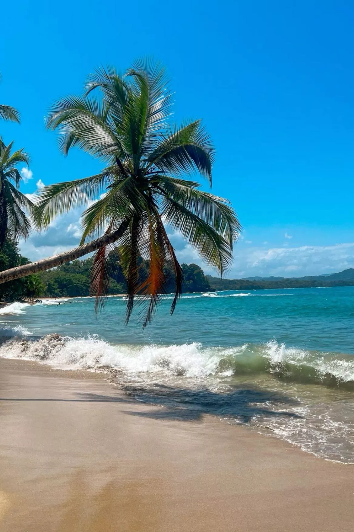 Puerto Viejo Costa Rica 🇨🇷 🏖️ posted by petter_xxx