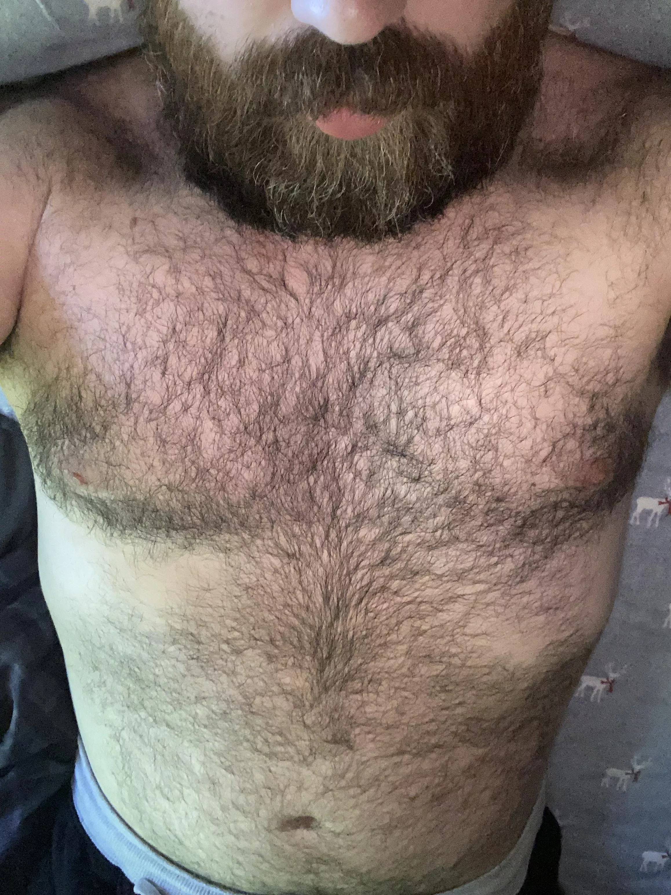 Would you cuddle with me as I whispered naughty nothings into your ear?  posted by LoonPoint207